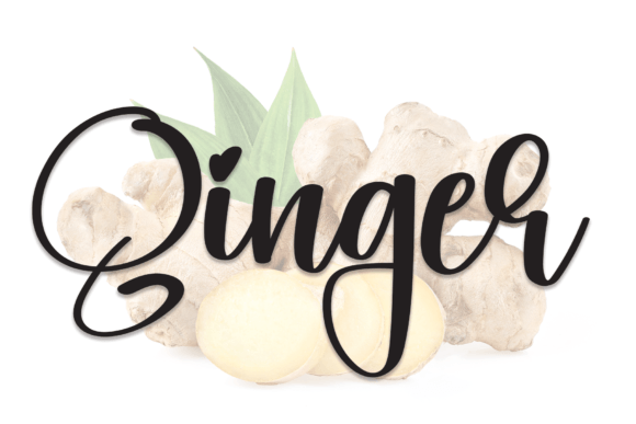 A Real-World Web Designer Review of the Ginger Font