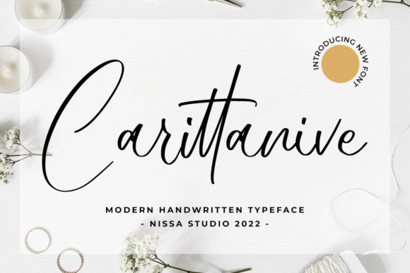 Carittanive: A Font for Calm and Beautiful Reading