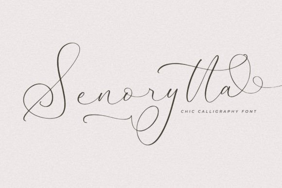 Senorytta: A Premium Font for Building a Cohesive Brand