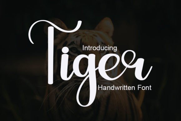 Tiger: A Distinct Handwritten Font for Modern Websites